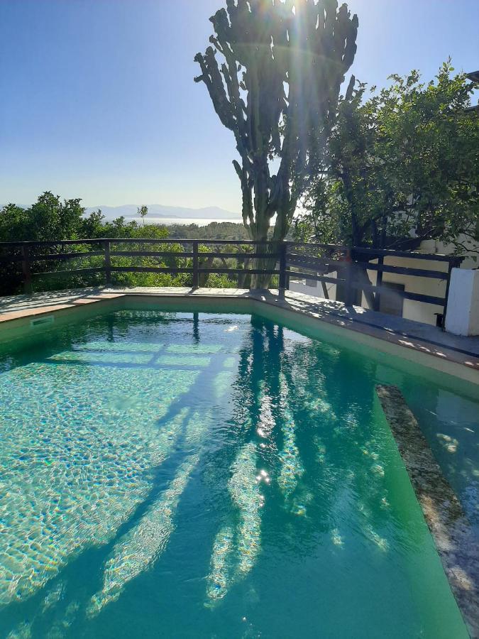 Apartment Limone